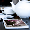 Abused and Abandoned [eBook] - Image 3